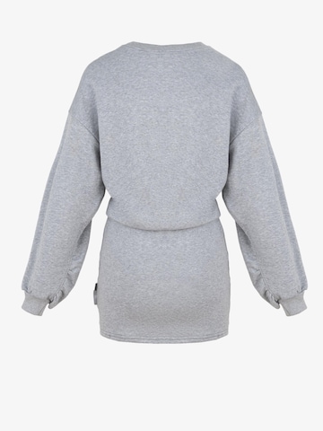 FEMSSY - Vestido 'PULSE' en gris