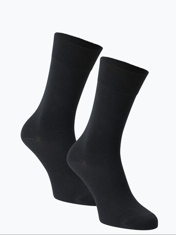 FALKE Socks in Blue