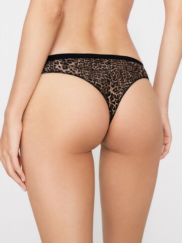 Tezenis Panty in Black