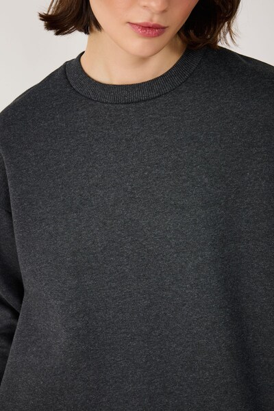 No Matter What Sweatshirt in Anthracite, Item view