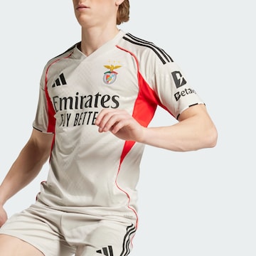 ADIDAS PERFORMANCE - Camisola de futebol 'Benfica Lissabon 25/26' em bege