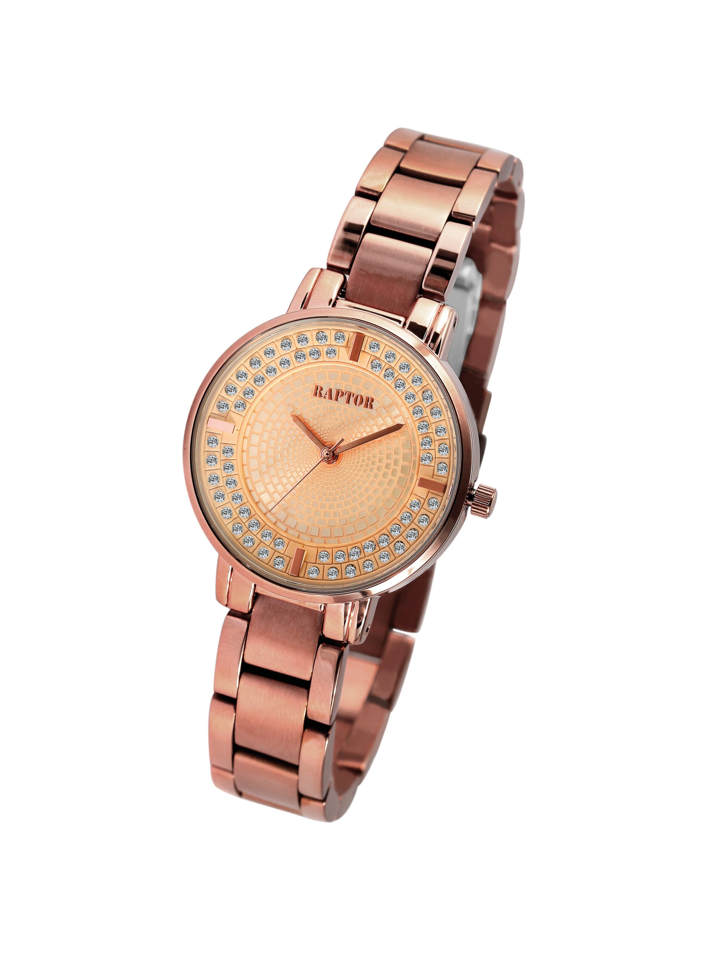 Raptor Analog Watch 'Nahida, 3 ATM' in Brown: front