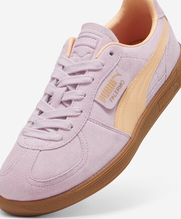 PUMA - Zapatillas deportivas bajas 'Palermo' en rosa