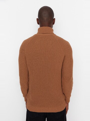 Pullover di Trendyol in marrone
