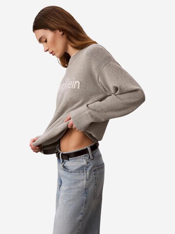 Pullover 'LV044G313G' di Calvin Klein Jeans in grigio