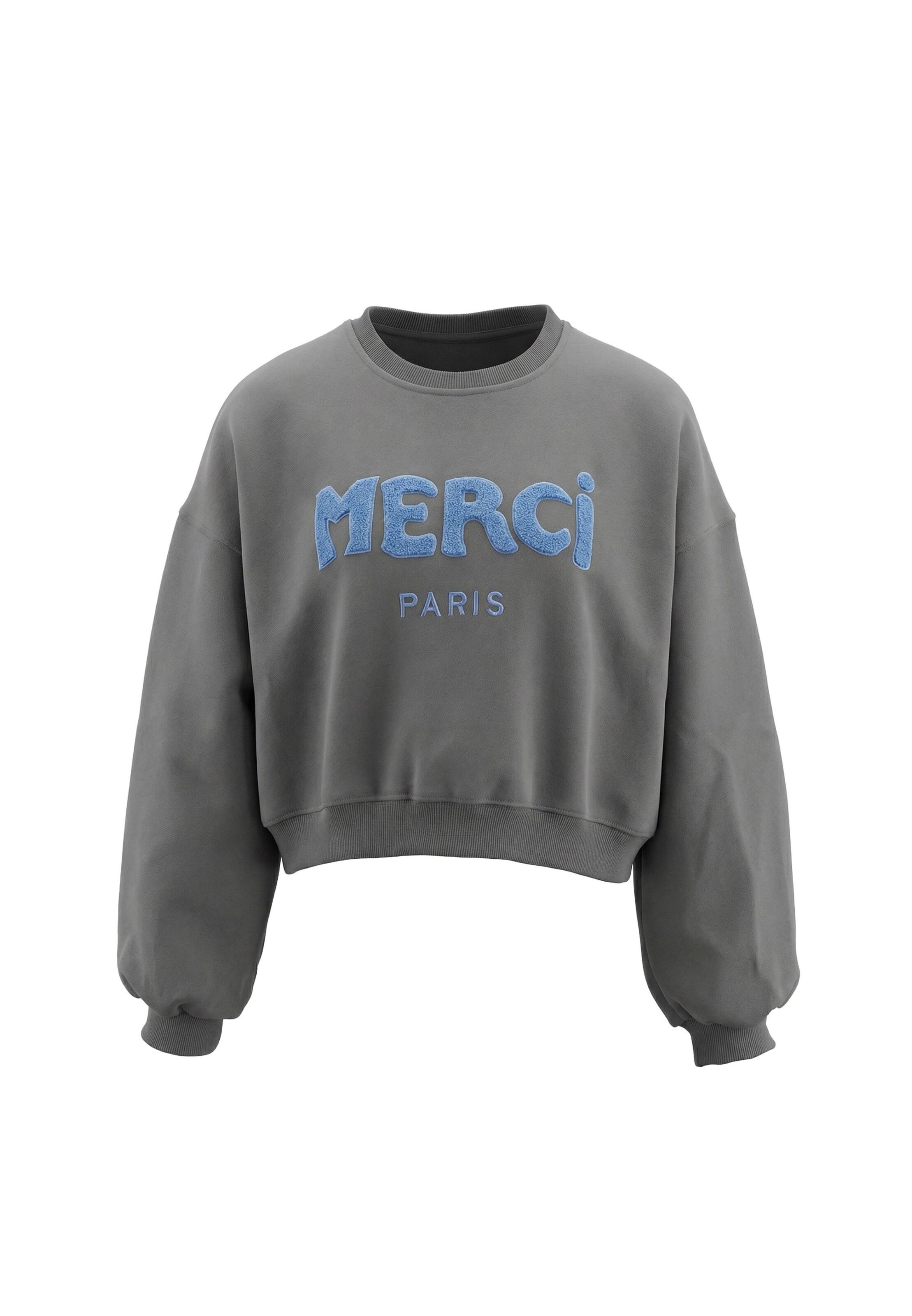 usha BLUE LABEL - Sudadera en gris: frente