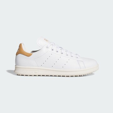 Chaussure de sport ADIDAS PERFORMANCE en blanc