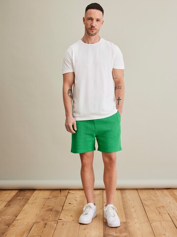 DAN FOX APPAREL Regular Shorts 'Jim' in Grün