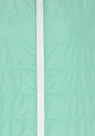 Reiswood Vest in Green