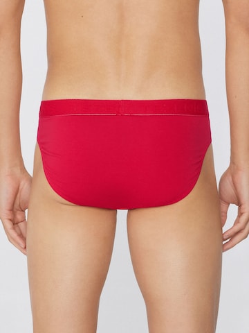 Tezenis Panty in Red