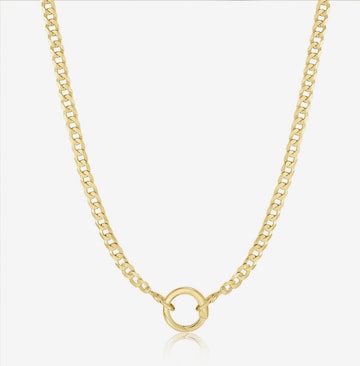 ANIA HAIE Necklace in Gold: front