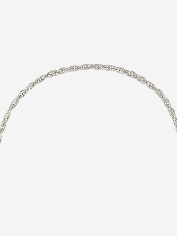 TOMMY HILFIGER Necklace in Silver