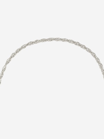 TOMMY HILFIGER Necklace in Silver