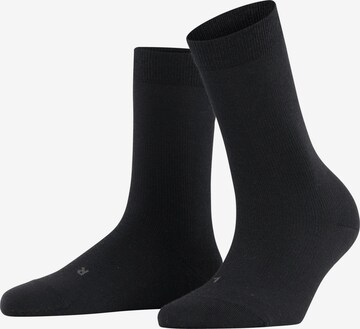 FALKE Socken 'Stabilizing Wool Everyday' in Schwarz: Vorderseite