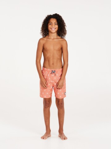 PROTEST Board Shorts 'PRTFONZ JR' in Orange