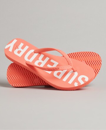 Superdry T-Bar Sandals in Orange