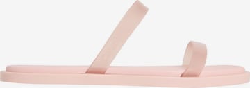 Calvin Klein Mule 'Finni' in Pink: front