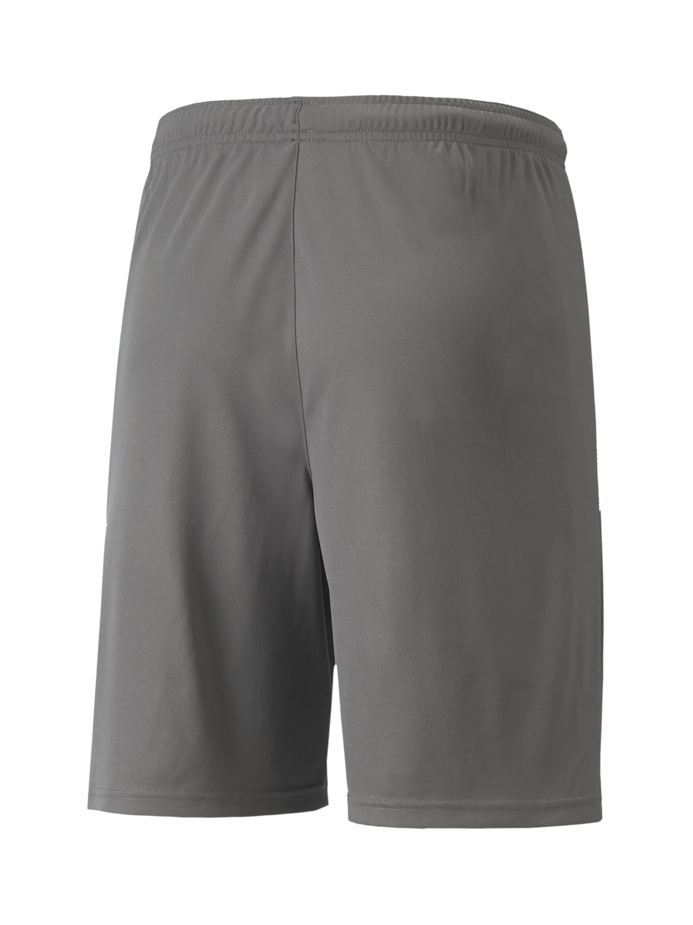 Regular Pantalon de sport 'TeamLiga' PUMA en gris