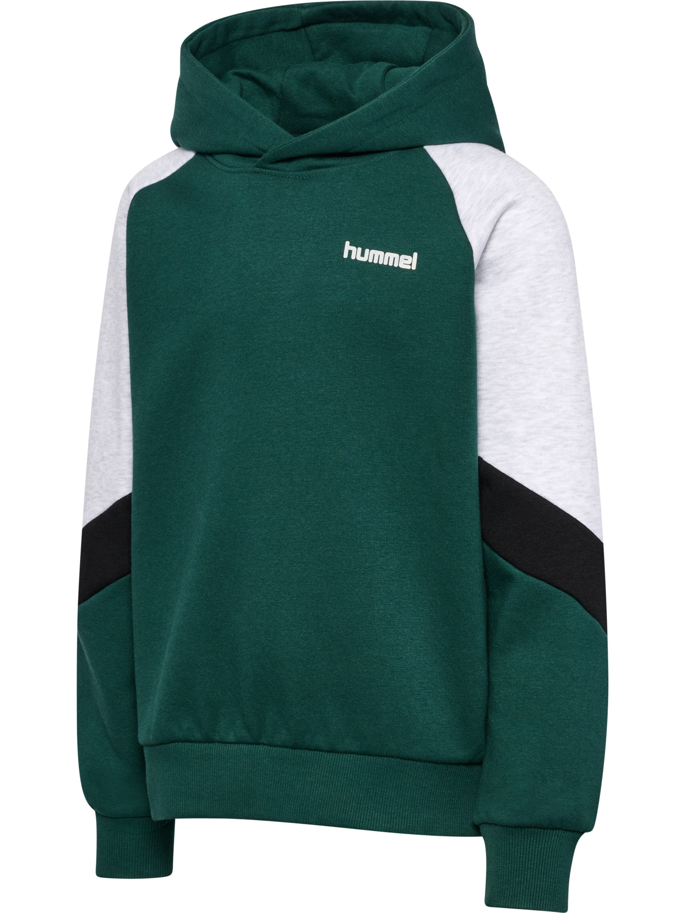 Hummel Sweatshirt in Groen