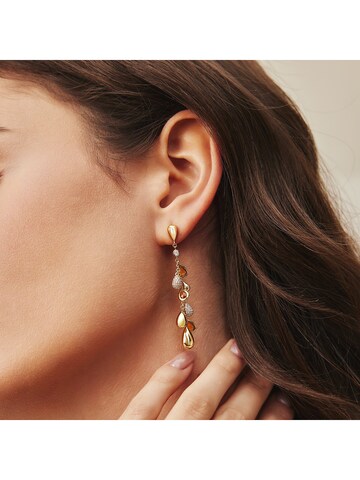 ANIA HAIE Ohrringe in Gold: Vorderseite