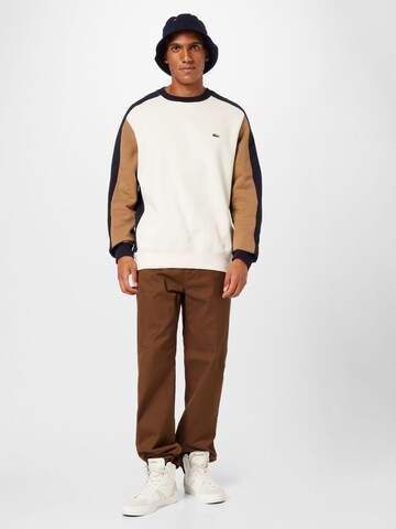 Brixton Regular Chino Pants 'CHOICE' in Brown