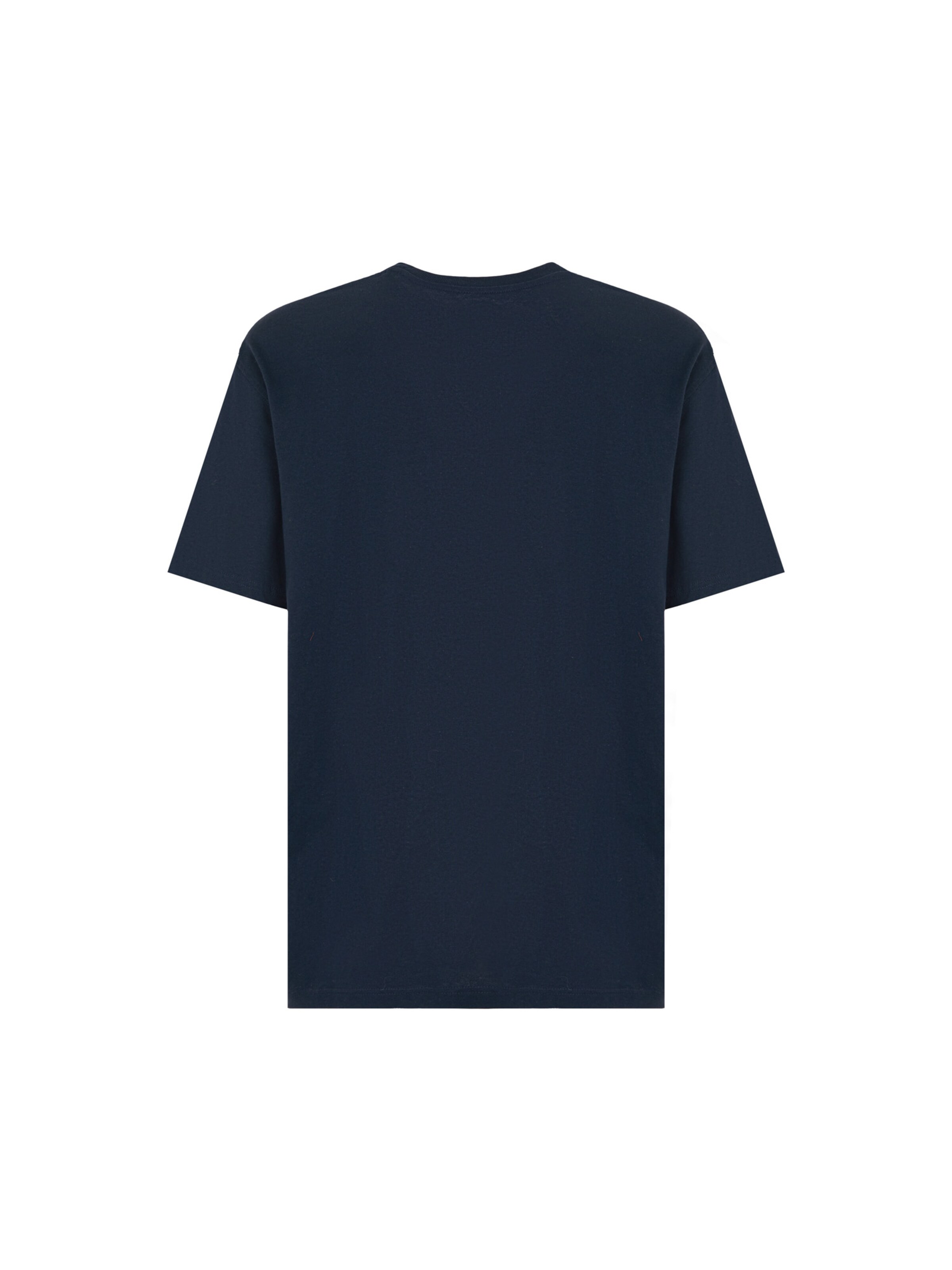 DICKIES Tričko 'Summerdale' – černá