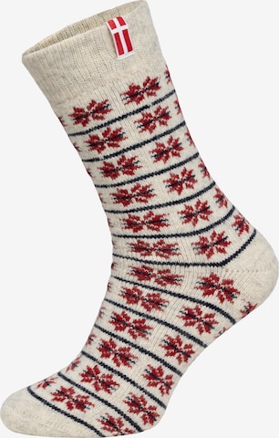 HomeOfSocks Socks 'HOS806' in Red: front