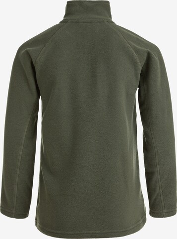 ZigZag Athletic Sweater 'Buffalo' in Green