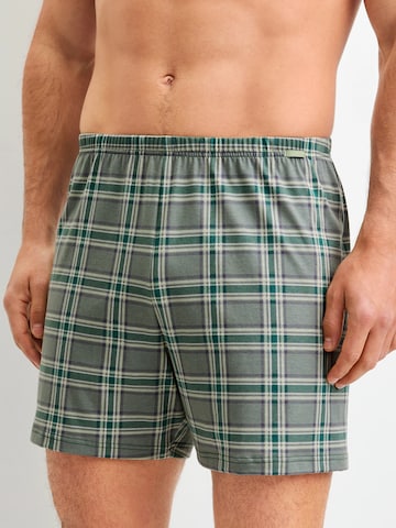 CALIDA Boxershorts 'Prints'‌‌‌‌‌ in Grün
