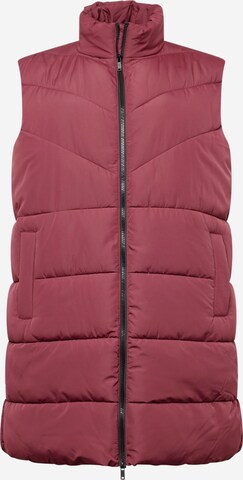 Gilet 'NEW DALCON' Noisy May Curve en rouge : devant