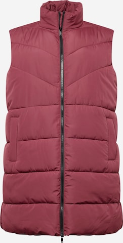 Gilet 'NEW DALCON' di Noisy May Curve in rosso: frontale
