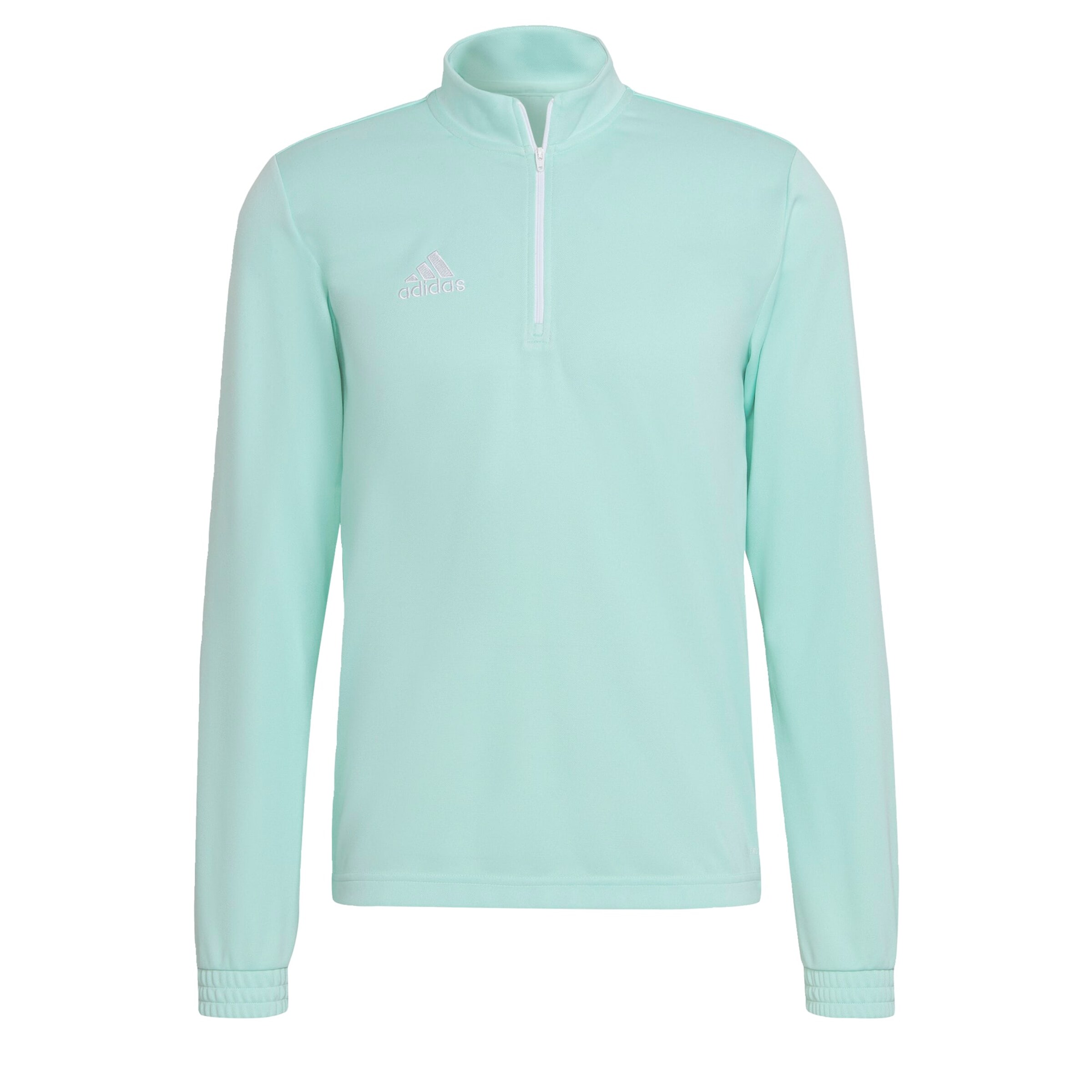 ADIDAS PERFORMANCE Sportsweatshirt 'Entrada 22' in Grün: Vorderseite