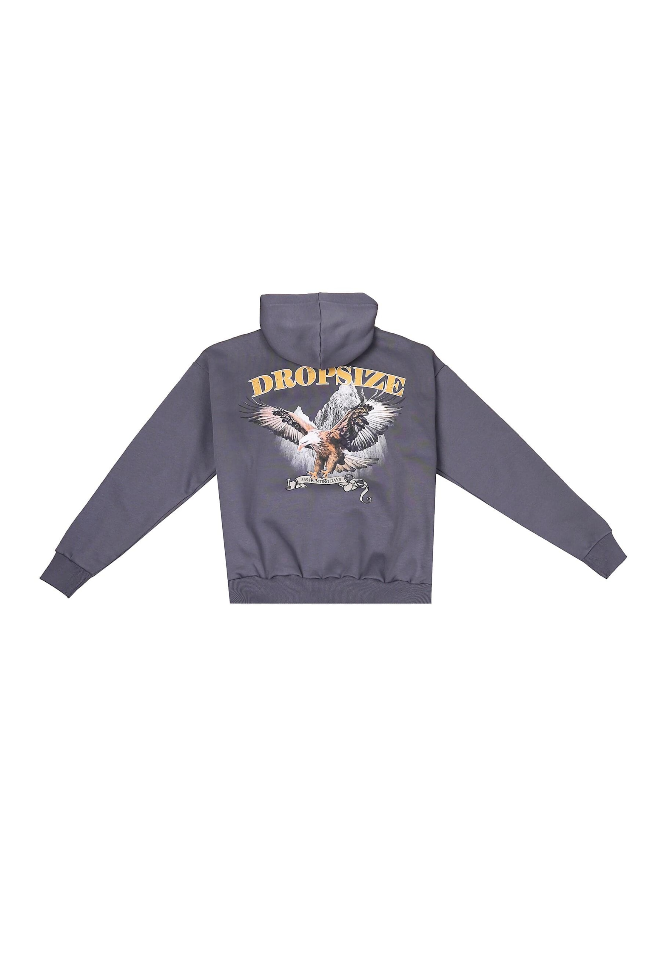 Dropsize Sweatshirt 'Eagle' in Grijs