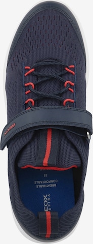 Baskets 'J Spherica B. C' GEOX en bleu