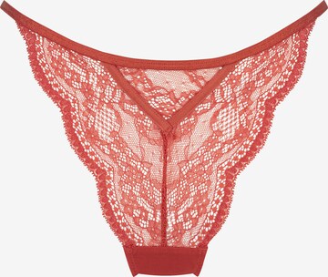 Hunkemöller String 'Isabelle' in Orange: predná strana