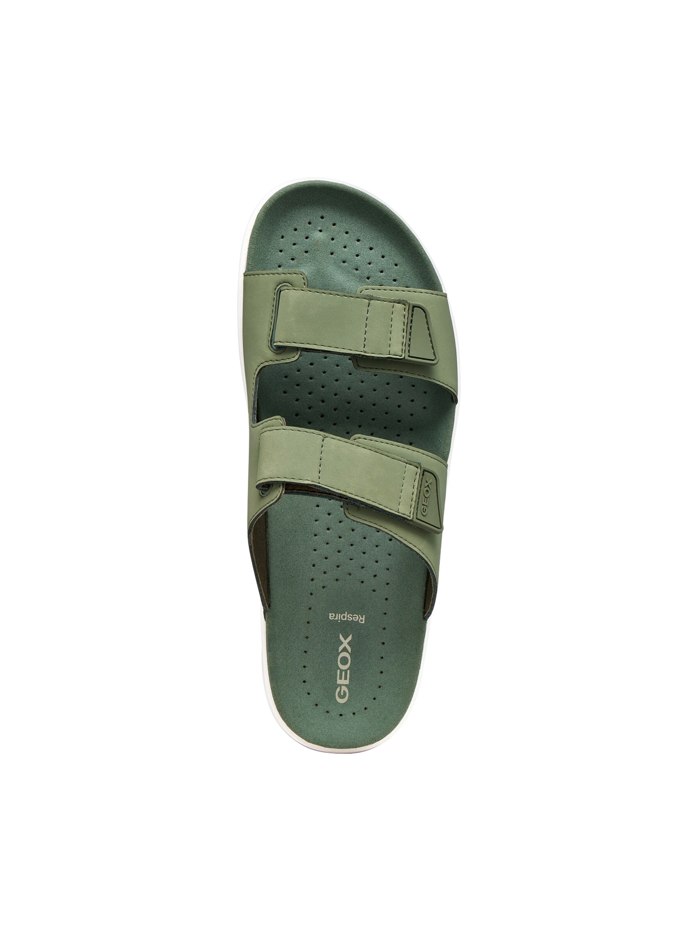 GEOX Mule in Green
