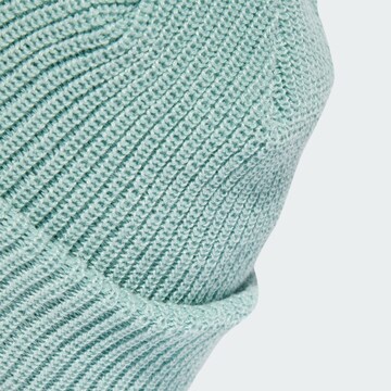 ADIDAS ORIGINALS Beanie 'Adicolor' in Green