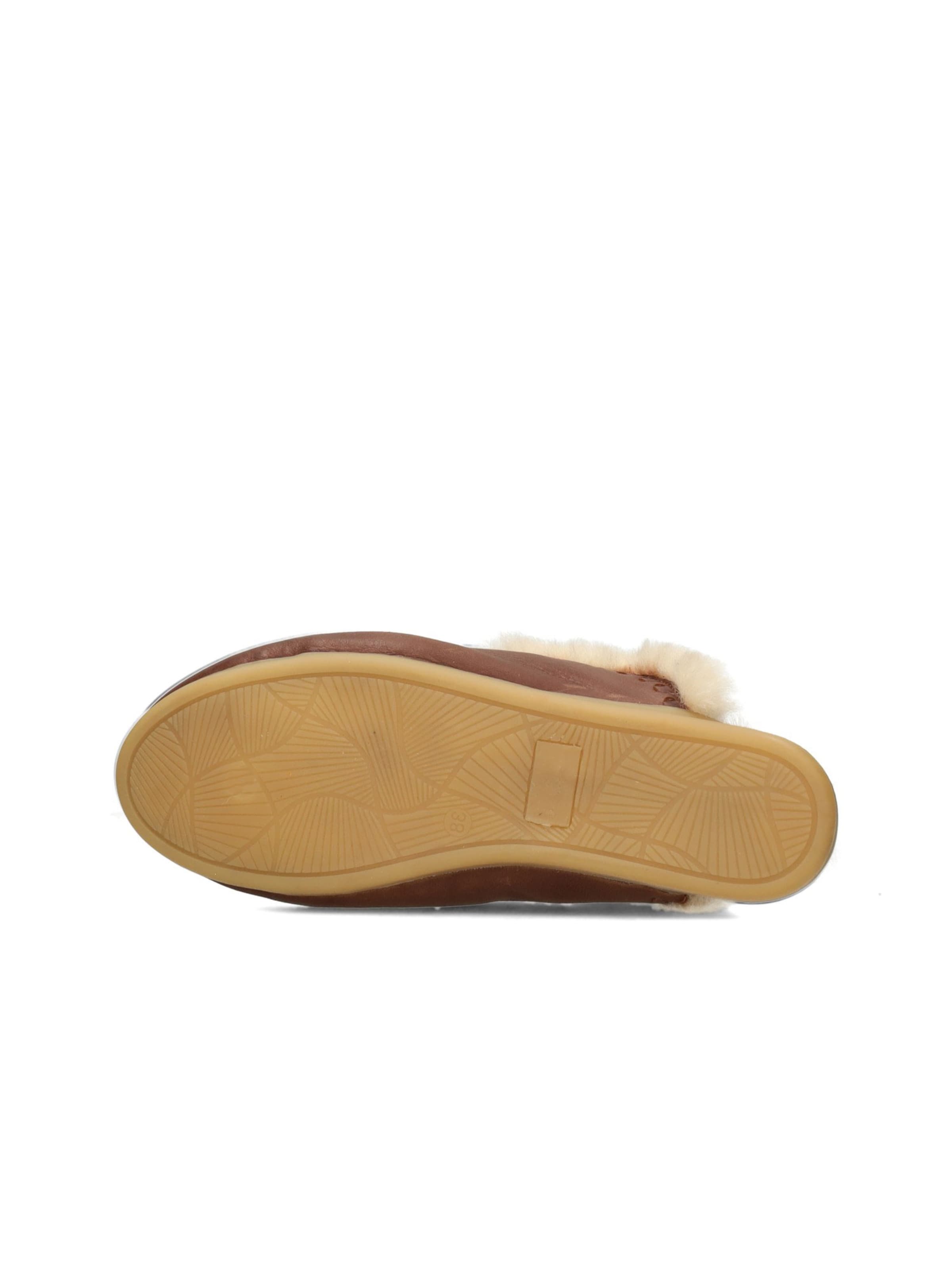 Haboob Mule 'Jolie ' in Brown