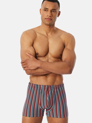 SCHIESSER Boxershorts ' 95/5 ' in Blauw