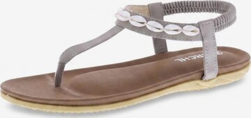 Mrchlabel Sandaal 'Mrchlabel Nikki Women’s Sandals' in Grijs: voorkant