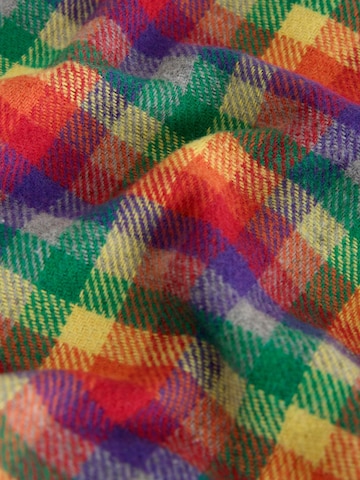 Next Skirt in Mixed colours
