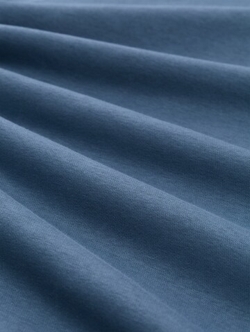 TOM TAILOR DENIM Sweatshirt in Blue