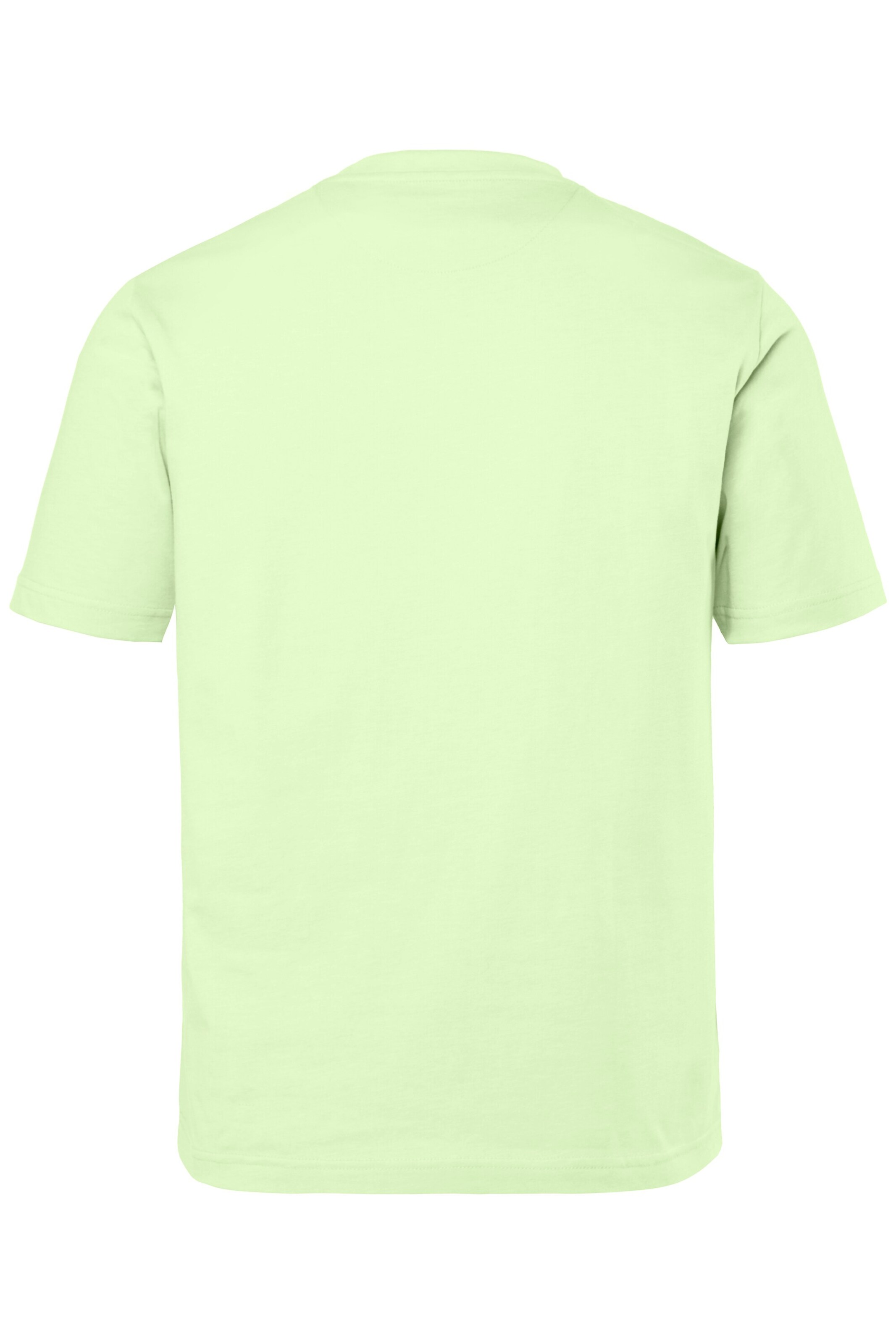 Men Plus Shirt in Green