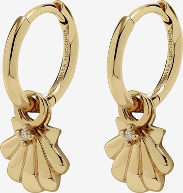 Guido Maria Kretschmer Jewellery Earrings in Gold: front