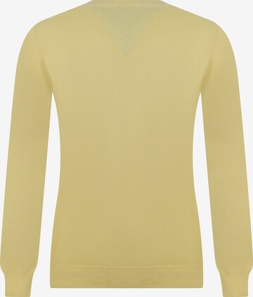 DENIM CULTURE - Pullover 'Moana' em amarelo