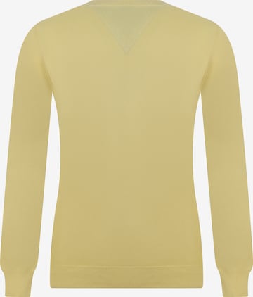 DENIM CULTURE Sweater 'Moana' in Yellow
