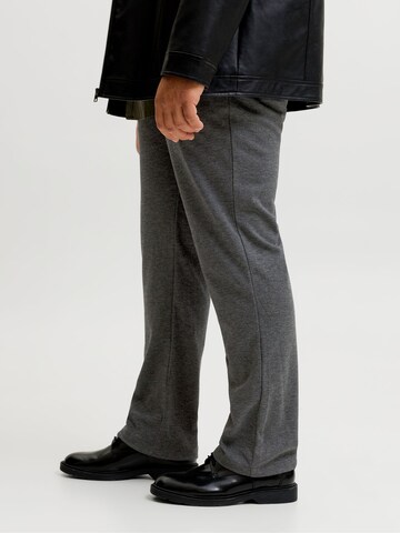 Regular Pantalon chino JACK & JONES en gris