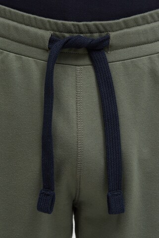 CAMP DAVID Regular Pants in Green