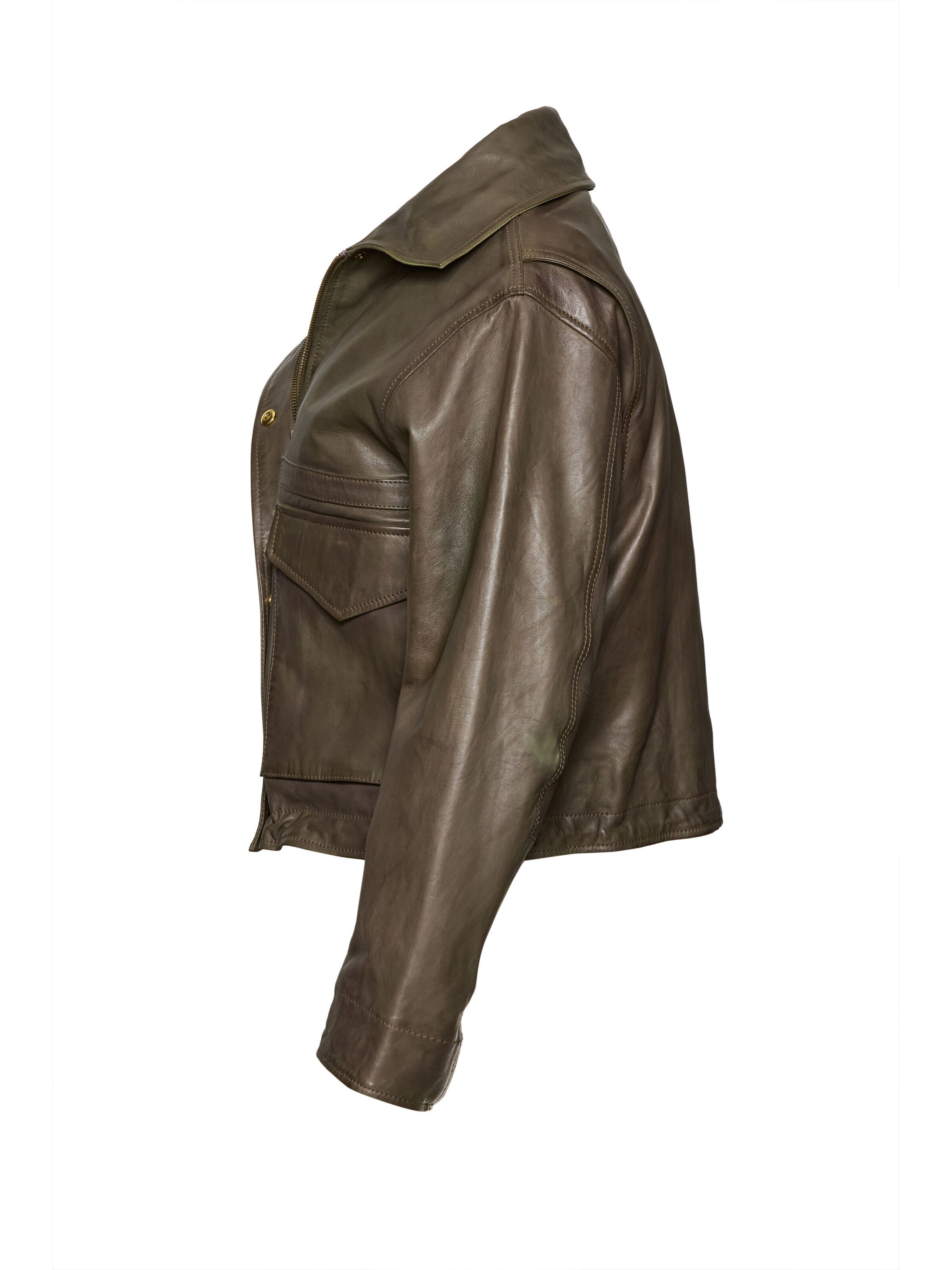 Apple of Eden Übergangsjacke in Grün