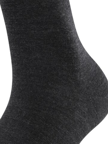 FALKE Kniestrümpfe‌‌‌‌‌‌‌‌ in Grau